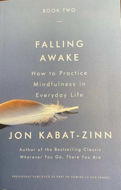 Falling Awake How to Practice Mindfulness in Everyday Life