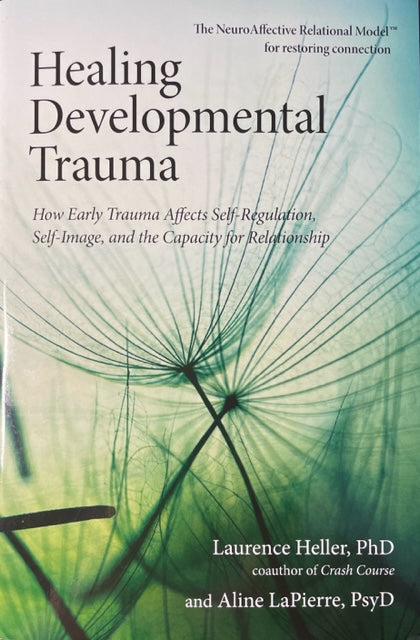 Curación del trauma del desarrollo, cómo el trauma temprano afecta la autorregulación, la autoimagen y la capacidad de relación
