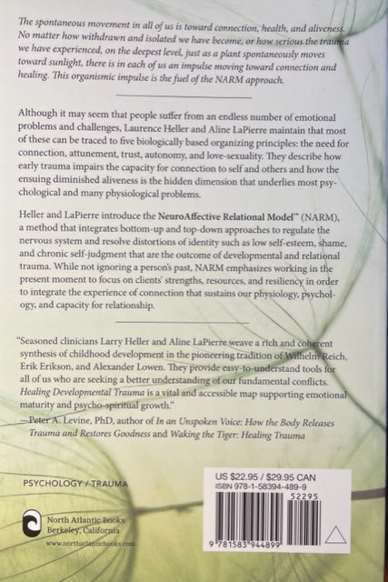 Curación del trauma del desarrollo, cómo el trauma temprano afecta la autorregulación, la autoimagen y la capacidad de relación