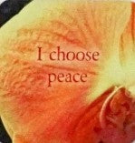 Life Loves You Positive Affirmation Cards - 52 Card Deck