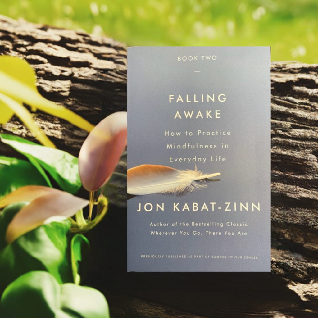 Falling Awake How to Practice Mindfulness in Everyday Life